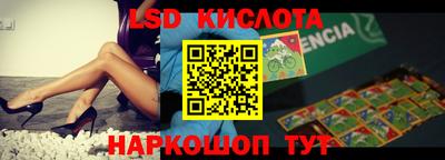 2c-b Кингисепп