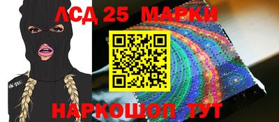 2c-b Кингисепп