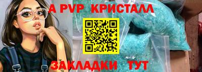 2c-b Кингисепп