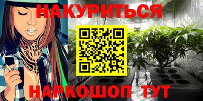 2c-b Кингисепп