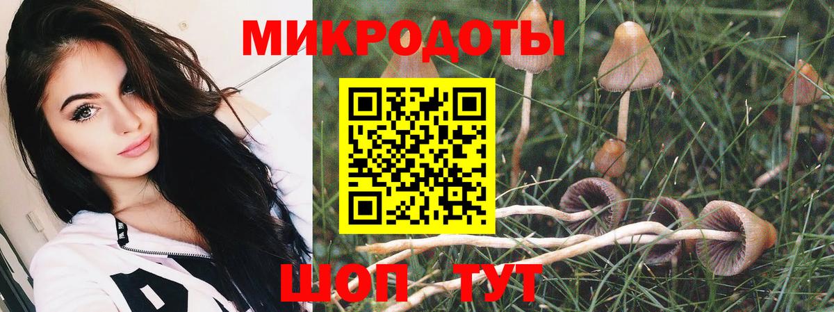 Псилоцибиновые грибы ЛСД Кинель