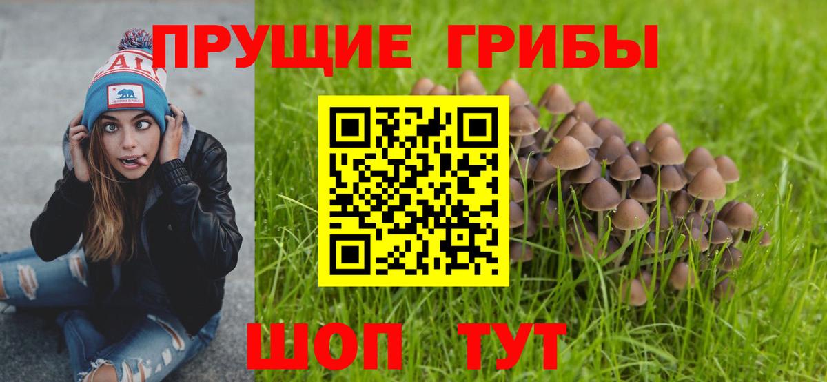 Галлюциногенные грибы ЛСД  Псилоцибиновые грибы мухоморы  Кинель  Вход с VPN 